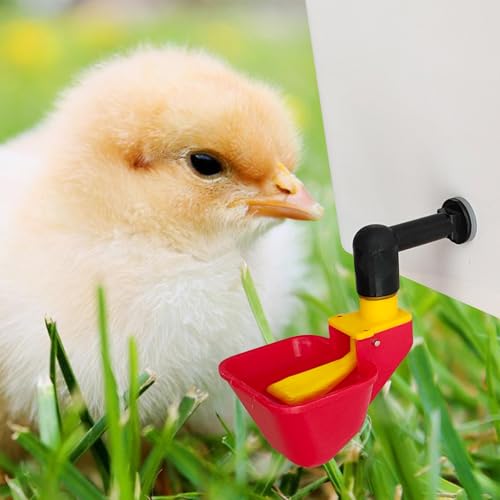C Automatic Waterer System Chick Drinker Cups 1L Hanging Automatic Fill Poultry Watering Cup Used for Cages (red, 1)