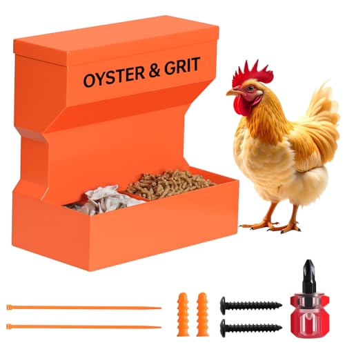 CHUANGFENG Chicken Feeder – Wall Mounted Metal Oyster Shell & Grit Feeder for Chickens, Heavy Duty Coop Feeder with Rust-Resistant Steel, Ideal for Backyard Poultry & Small Farms