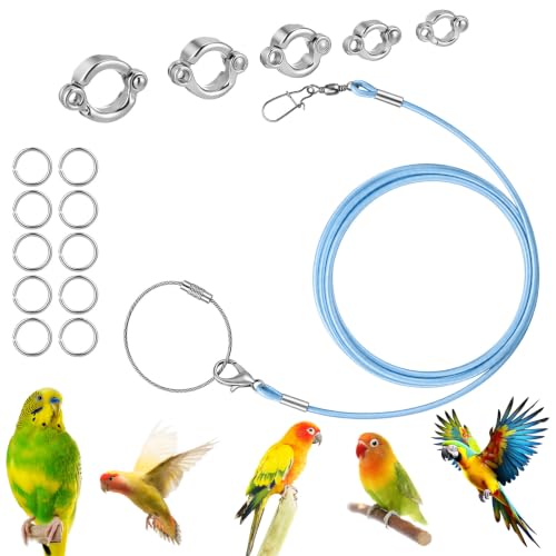 Bird Leash with 5 Different Size Foot Ring Parrot Flying Harness | Lightweight Elastic Bird Leashes Leg Band Outdoor Training Traction Rope for Macaw African Greys Parakeet Cockatoo Sun Conure