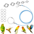 Bird Leash with 5 Different Size Foot Ring Parrot Flying Harness | Lightweight Elastic Bird Leashes Leg Band Outdoor Training Traction Rope for Macaw African Greys Parakeet Cockatoo Sun Conure