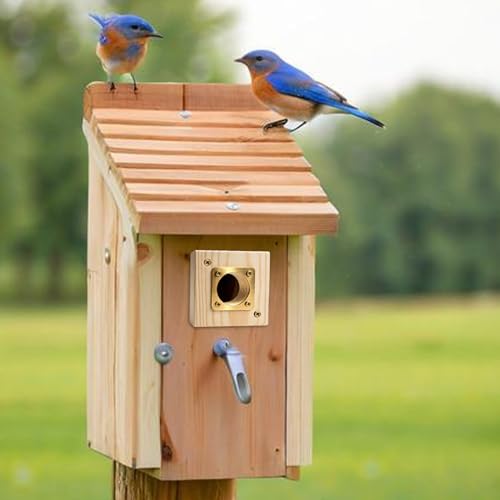 Bluebird House Predator Guard， with Copper Gate Predator Protection Device Bird House Predator Guard Replacement, Suitable for 1 1/2 inch Open Oriental Bluebird Box (2 Pieces)