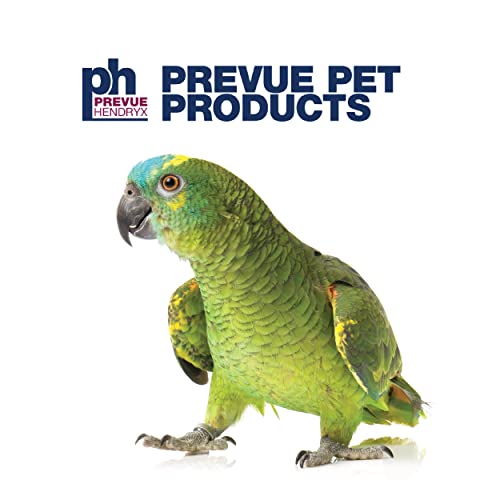 Prevue Pet Products Small Parrot Playstand with Wheels, Bird Stand Activity Play Center with Perches and Ladders, Indoor Outdoor Playground for Birds with Swing, Black Hammertone Finish - size: Small