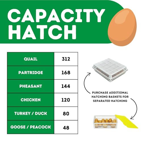 Hatching Incubators Without Turners – 120 Egg Hatcher Cabinet with Digital Humidity Control & Active Periodic Cooling | Chicken & Quail Egg Hatcher for Final Hatch Stage by Hatching Time - size: 120 Eggs, style: Egg Hatcher Only