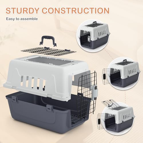 22-Inch Dog Crate Plastic 2-Door Top Loading Cat Carrier, Hard-Sided Dog Travel Carrier for Small Dogs and Cats, Ventilation and Security Lock Design for Pets up to 22 lbs (Grey)