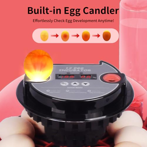 Incubators for Hatching Eggs with Automatic Egg Turning,Temperature & Humidity Control, Come with Egg Candler, External Water Bottles 360° Clear View Incubator for Hatching Chicken Eggs Quail Duck