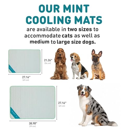 INSPECTOR TAIL Dog Cooling Mat, Indoor & Outdoor, Large Self Cooling Pad | No Freeze Needed, Breathable, Washable, Portable Cooling Mat for Dogs with Travel Bag, Fits Car, Crate, Floor & Bed, 38"x 27" - size: Mint- 38.98" x 27.17