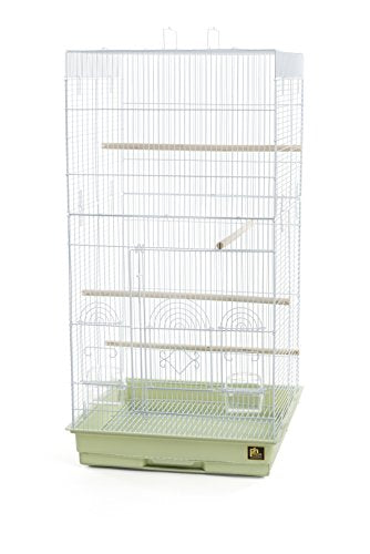 Prevue Pet Products SPECONO1818H-SG Tall Tiel Cage, Sage Green - color: Sage Green