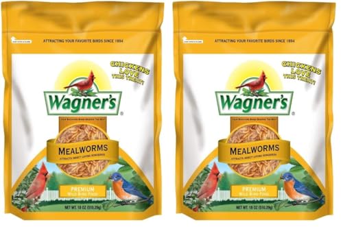 Wagner's 58005 Mealworms Wild Bird Food, 18-Ounce Bag (Pack of 2) - size: 18 Ounce (Pack of 2)