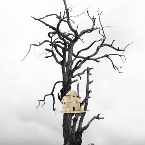 Wooden Bird House Unfinished Birdhouse to Paint for Kids and Adult Wood Hanging Sleeping Nest for Bird Squirrel Conure and Parrot