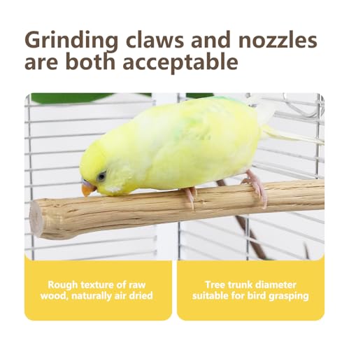 Natural Wood Bird Perch for Cage – Chewing & Claw Trimming Perch Toy for Parrots, Cockatiels, Budgies (Large 12") - size: Large 12"