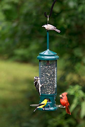 Squirrel Buster Legacy Squirrel-Proof Bird Feeder for Wild Birds – 4 Metal Removable Perches, 2.6 lb Seed Capacity, Chew-Proof Design, Easy to Clean, Green | Four removable metal perches, chew-proof construction, tool-free cleaning - size: 1 Pack