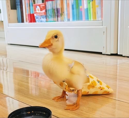2 Pack Chicken Diapers for Hens, Roosters, Diapers for Ducks, Ducklings, Reusable Pet Diaper with Bow Ties Waterproof Poultry Nappies for Geese Pet Ducks,Pineapple&Yellow Duck,L - size: L