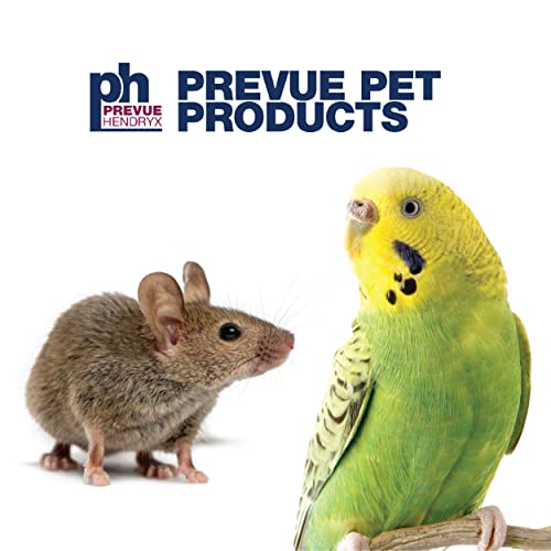 Prevue Pet Products Rope Ladder Bird Toy - Accessories for Small to Medium Birds, Hanging Birdcage Toy for Climbing, Foot Exercise, Beak Use, Mental Enrichment, and Interactive Play - size: Small to Medium