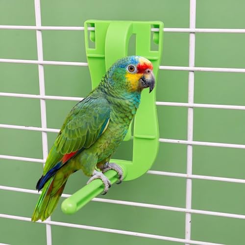 2 Pack Cuttlebone Holder for Bird Cage Green Bird Fruit Feeder Clip with Perch Stand. Millet Holder for Bird Cage Accessories for Parakeet Budgie Cockatiel (Vegetable Bracket)