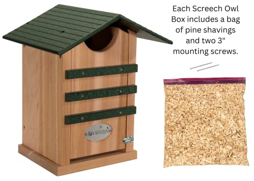 Screech Owl House Cedar Nesting Box with Poly Lumber Roof, Saw-Whet Owl Box for Outside, Drainage Ventilation, Easy Cleanout, Made in USA, Green - color: Green