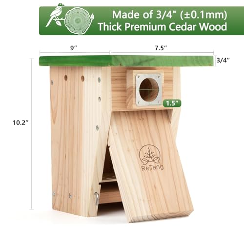 Cedar Bird House with Metal Predator Guard, Wild Bird Nesting Box | Clear viewing window, easy-clean side door, 3/4" cedar, and interior grip for wild wrens, swallows, and chickadees - style: Classic