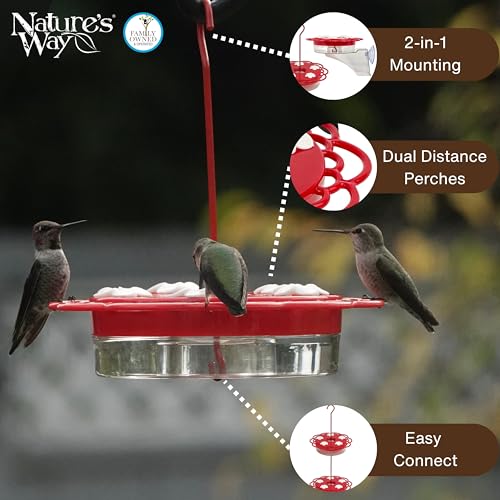Nature's Way Plastic Hummingbird Feeder for Outdoor Decor, Hanging Feeder and Window Feeder, 13 Ounce Capacity Nectar Feeder, 5 Easy to Clean Flexible Ports, Red
