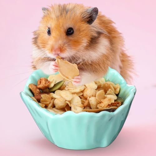 4 Pack Small Ceramic Pet Hamster Bowl, 2.68 x 2.68 x 1.38 Inch Flower Shaped Small Water and Food Bowl Feeder Dish for Guinea Pig Parrots Gerbil Rat Mice Rabbit Chinchilla, Easy to Clean Anti Flipping