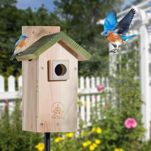 Outdoor Cedar Birdhouse, 1.5" Hole Bluebird Nesting Box with Predator Guard | Metal predator guard protects nest, side cleaning door opens fast, interior step gives baby birds extra grip to climb out - style: Modern