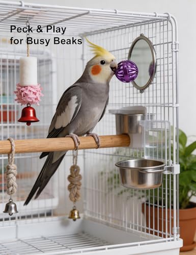 12 Pack Bell Chew Toy Balls for Parakeets Cockatiels Bird Cage Play Toys | Made of BPA Free PP Plastic, Built In Bells, 12 Mixed Shapes, Smooth Safe Edges, Fit All Standard Bird Cage Spaces