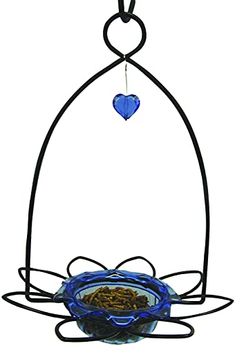 Birds Choice BBFF Bluebird Flower Feeder, Hanging Feeders, 3 Ounces, Blue | Petite Hanging Cup Bluebird Feeder for Mealworms and Dried Fruit, Simple to Fill and Rinse Clean