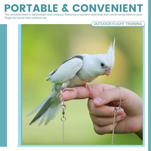 LELE LIFE 2 Pack 39in Bird Leash with 5 Sizes Ankle Rings, Stainless Steel Anti-Bite Parrot Bird Harness Flying Toy Training Chain Leg Rope Outdoor Parrot Alloy Foot Ring