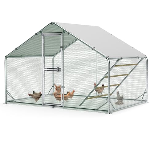Large Metal Chicken Coop, Outdoor Chicken Run with Cover, 10 x 6.5 x 6.5 FT | Heavy-Duty Poultry Enclosure & Chicken Pen with Split Doors, Galvanized Steel Frame, Free Wire Mesh Fence and Roosting Ladder - size: 10' x 6.5'
