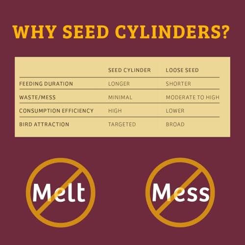 Birds Choice Bugs 'N Nuts Cylinder Seed | Wild Bird Food with Insects & Fruit | High-Energy Mix of Sunflower Hearts, Peanuts, Mealworms & Tree Nuts | High Protein & Bird Feed | 5.5 lbs (2-Pack) | High-Energy Mix of Sunflower Hearts, Peanuts, Mealworms and
