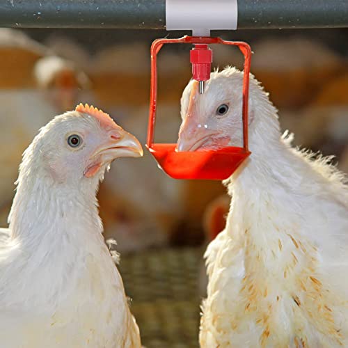 Outus 50 Pack Chicken Waterer PVC Tee Fittings, Fully Automatic Poultry Waterer PVC Fittings for Threaded Chicken Water Nipples, Cups, Drinker, Feeder, Duck, Quail, Turkey Coop Accessories, White