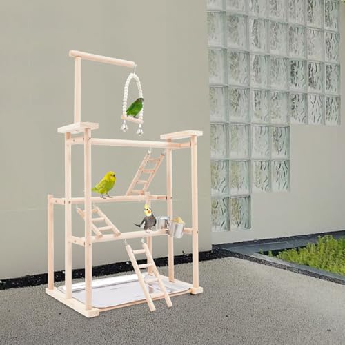 Premium Parrot Play Stand - Large Bird Gym Activity Center for Macaws, Cockatoos, African Greys, Indoor Outdoor Playground