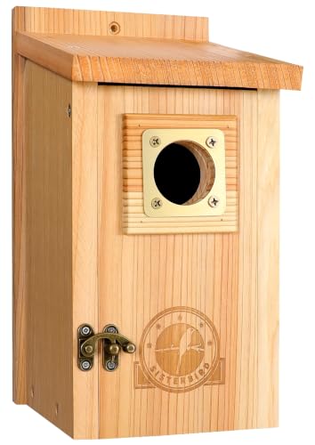 SISTERBIRD Bird Houses for Outside Clearance with Copper Guard, Cedar Bird House Outdoor, Bluebird Finch Swallow Wren Chickadee - color: Burly Wood & Copper-colored -- 1PC