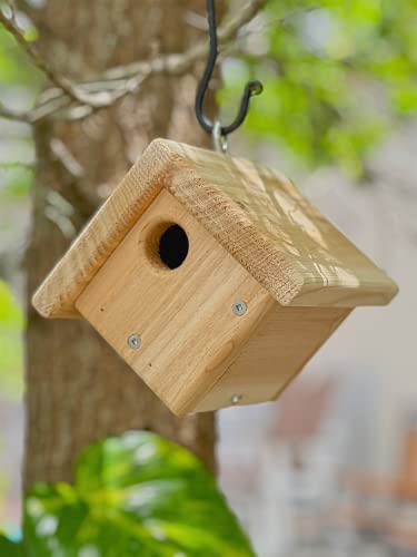 DutchCrafters Small Diamond Cedar Wood Wren Birdhouse, Outdoor Wooden Bird House, Hanging Mount Birdhouse for Outside - Amish Made in USA