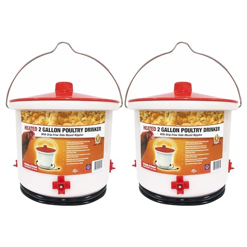 Farm Innovators HB-60P Thermostatically Controlled Heated 2-Gallon Plastic Outdoor Year-Round Poultry Chicken Water Bucket Drinker, White/Red (2 Pack) - color: 2 Gallon, size: 2 Pack