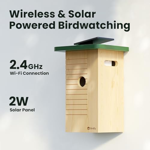 Smart Bird House with Camera Solar Powered, 1080HD Live Video & Night Vision for 24/7 Nesting Recording, Auto Detect & Notify, Ideal Nature Gift for Bird Lovers, AI Identify Lifetime Free