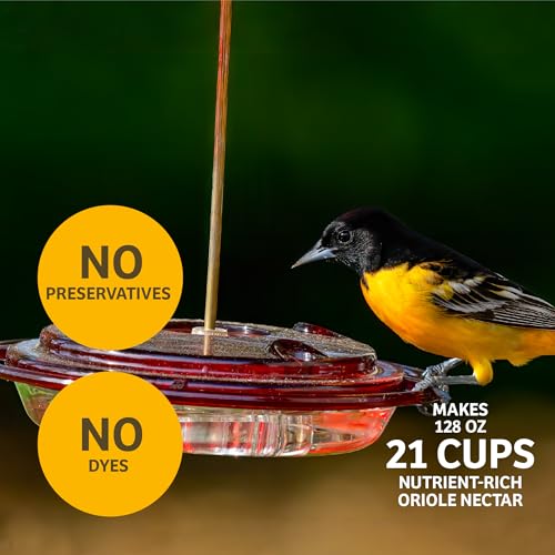 Birds Choice Hummingbird & Oriole Nectar | Pure & Healthy Sucrose Nectar for Birds | Easy Mix Concentrate | Natural Flower Sugar Alternative, No Additives | Safe for Feeders | 24 oz (3-Pack) | Sucrose-Based Easy Mix Concentrate, No Additives, Natural Flow