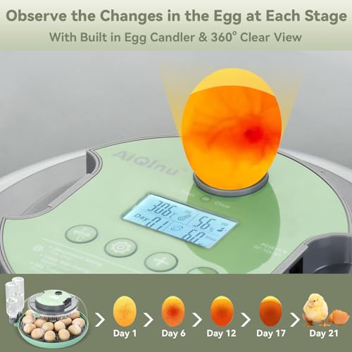 18 Egg Incubator with Automatic Egg Turning for Hatching Chicken Quail Duck | Hatching Unit with Digital Control & Built-in Candler, 2 Size Egg Tray Automatic Water Refill, Egg Incubator for Turkey Goose