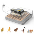 Egg Incubator for Hatching 48 Chicken, Duck, Quail & Goose Eggs – Automatic Egg Turner, Humidity & Temperature Control, Built-in LED Candler, Auto Water Refill, 360° Clear View Digital Poultry Hatcher