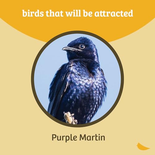 Birds Choice Premium Aluminum Purple Martin House – 8 Room, 2 Floor Birdhouse with Starling Resistant Entrance Holes, Ventilated Roof & Easy Cleaning, Unassembled | Starling Resistant Entrance Holes, Ventilated Roof, Easy Access for Cleaning, Ships Unasse
