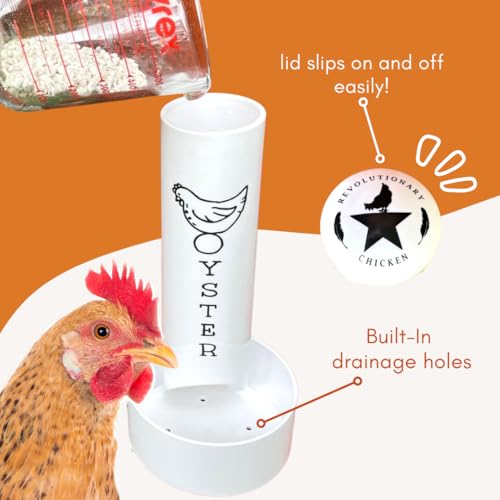 Oyster Shell Feeder for Chickens