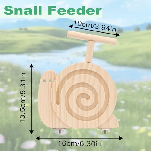 Hypeety Bird Foraging Toys with Perch Enrichment Puzzle Feeder Kit for Cage | Promotes foraging and chewing, kiln-dried wood slow feeder, no mess, fits most cages, for budgies cockatiels lovebirds conure