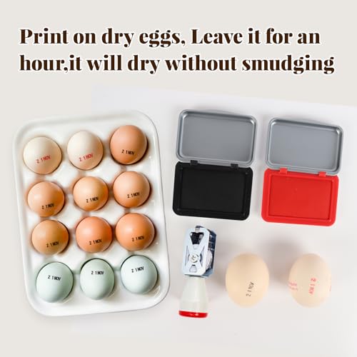 Egg Dater Kit with Date Stamp and Ink Pads for Farm Fresh Eggs | Easy Adjustable Month Day Stamp for Home Chicken Egg Mark Farm Office Shipping - size: 1 PACK
