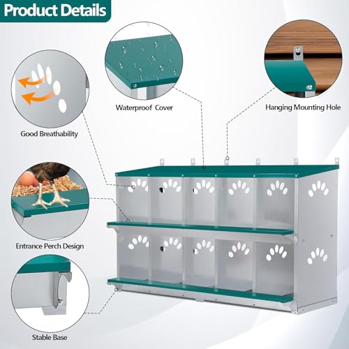 Chicken Nesting Box, 10 Compartment Nesting Box, | 10 Room Metal Nesting Boxes for Chicken, Green