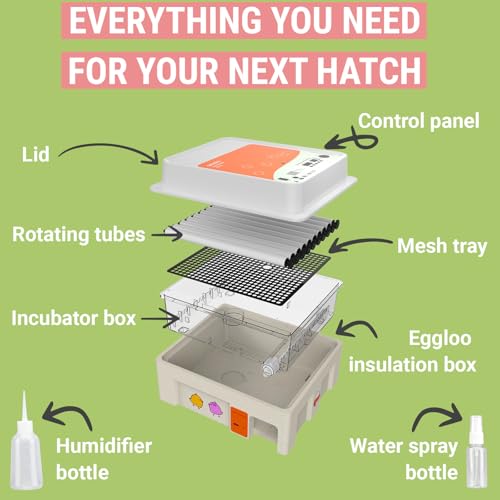 OBI-36 Egg Incubator for Hatching - 36 Eggs - Stable Temperature & Humidity Control with Eggloo Insulation, Candler - Ideal for Families and Farms - Suitable for Chicken, Duck, Quail Eggs - color: Orange