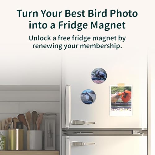 Smart Bird Feeder with Camera Solar Powered,2K UHD Video Live Stream,Easy Set Up,AI Bird Species Identification, Auto Capture Videos&5MP Photos,Instant Alerts,Gifts for Bird Lovers