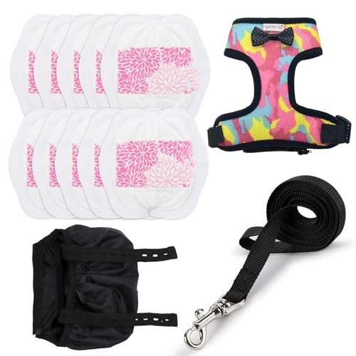 Chicken Harness Hen Camouflage Pink Size with 5.4foot Matching Leash – Adjustable Resilient Comfortable Breathable (Small Camouflage Pink) - color: Camouflage pink, size: Small