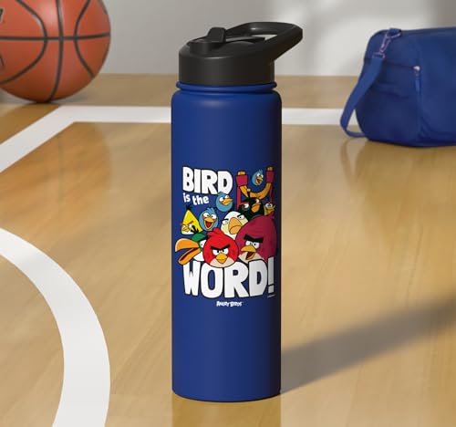 Angry Birds Group Bird is the Word Stainless Steel Insulated Water Bottle - color: Royal Blue
