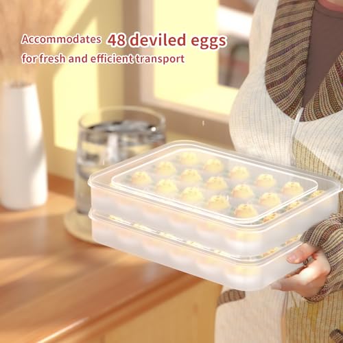 Newness Deviled Egg Containers with Lid, (Set of 2), Plastic Egg Platter for 48 Devil Eggs, Clear Storage Deviled Egg Carrier, Fridge Stackable Countertop Portable Egg Tray