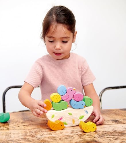 Tender Leaf Toys - Rocking Baby Birds - 12 Piece Balance Toy - STEM Toy - Early Learning to Develop Strategic Thinking and Fine Motor Skills - Wooden Toy Stacker & Balance Educational Game - Age 18m+