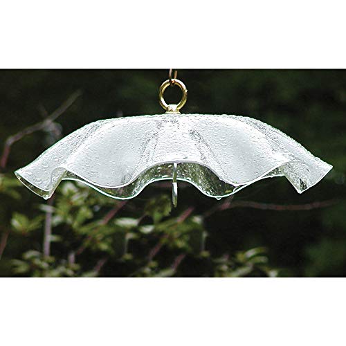 Birds Choice Weatherguard Bird Feeder Dome | 13in Rain Cover | Clear | Polycarbonate Cover for Small Hanging Feeders, Helps Keep Seed Dry, Not a Squirrel Baffle - color: Clear