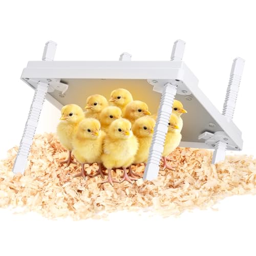 Updated 12"x12" Chick Heat Plate | Adjustable Height & Angle | 30W Lower Energy | Remote-Controlled Temp & Time | Dirt-Resistant Design | Keeps Over 20 Chicks Warm for Indoor Use